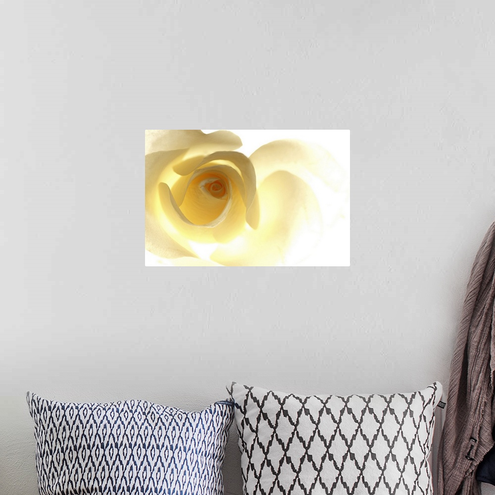 A bohemian room featuring Big, horizontal close up photograph of a single yellow rose that is brightly lit from behind, cau...