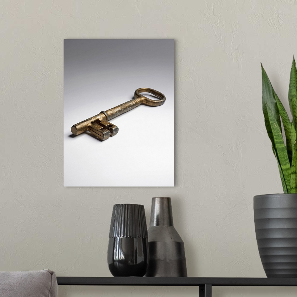 A modern room featuring Skeleton key