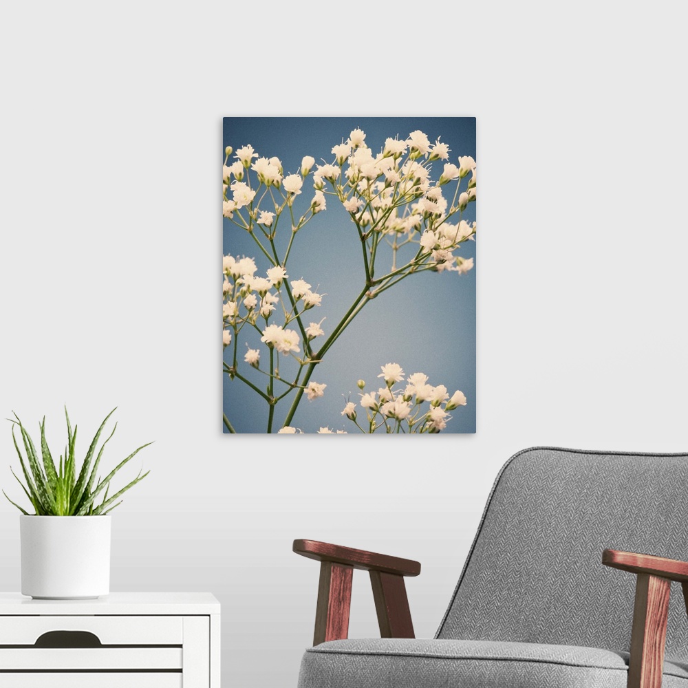 A modern room featuring Small white flowers, vintage film color