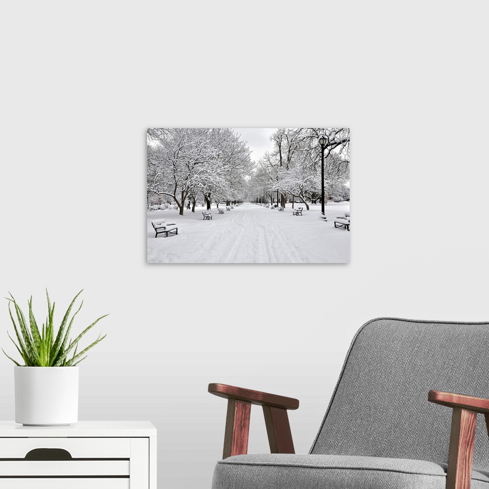 A modern room featuring A horizontal black and white photo on canvas of a snowy park with benches and snow covered trees ...