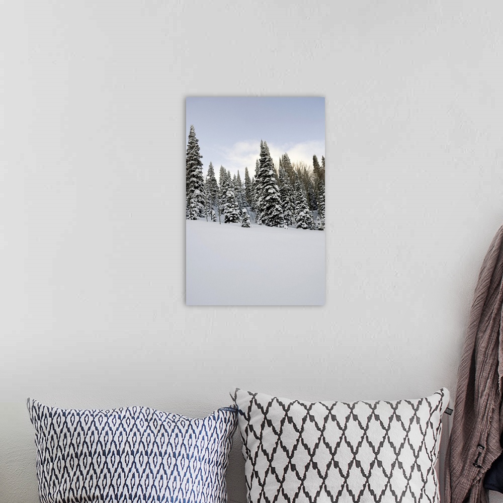 A bohemian room featuring Snow-covered landscape