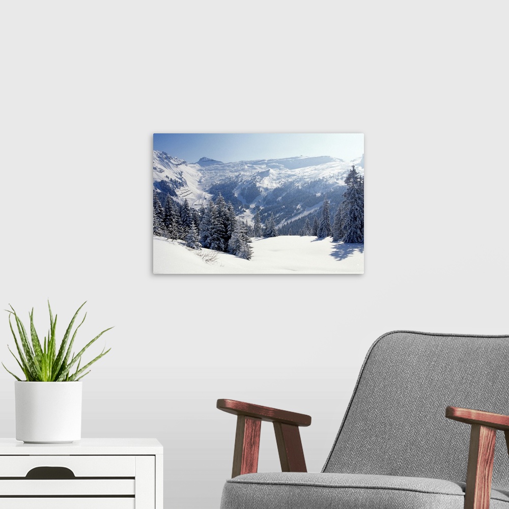 A modern room featuring Snow-covered trees and mountains, winter