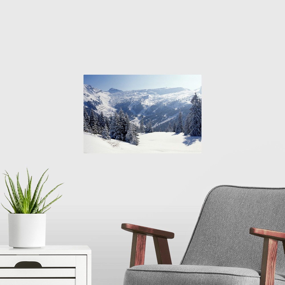 A modern room featuring Snow-covered trees and mountains, winter