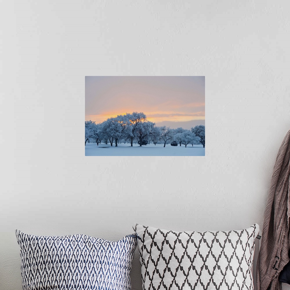 A bohemian room featuring Snow covered trees at sunset.