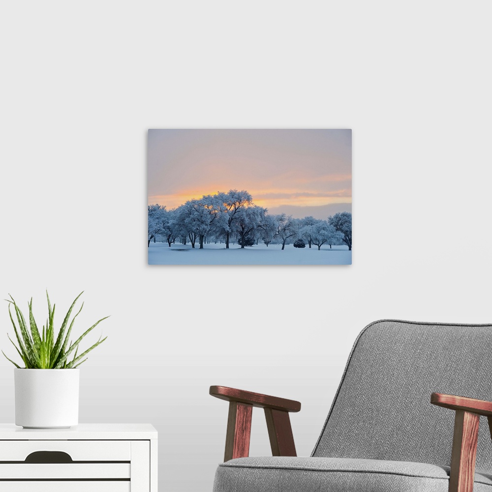 A modern room featuring Snow covered trees at sunset.
