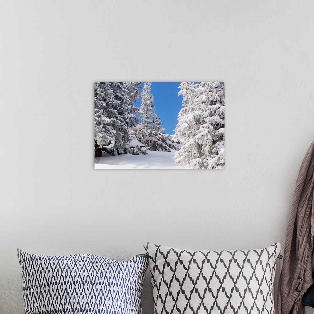 A bohemian room featuring Snowcovered Landscape