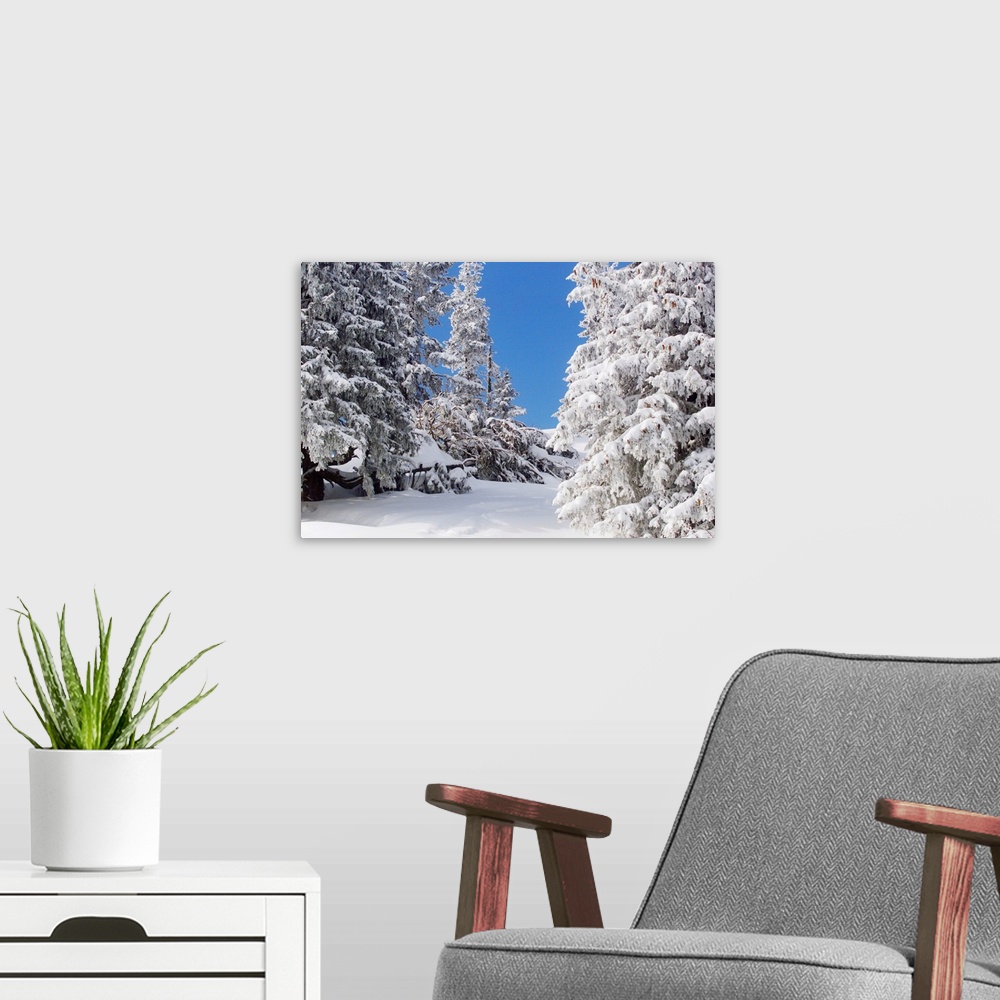 A modern room featuring Snowcovered Landscape