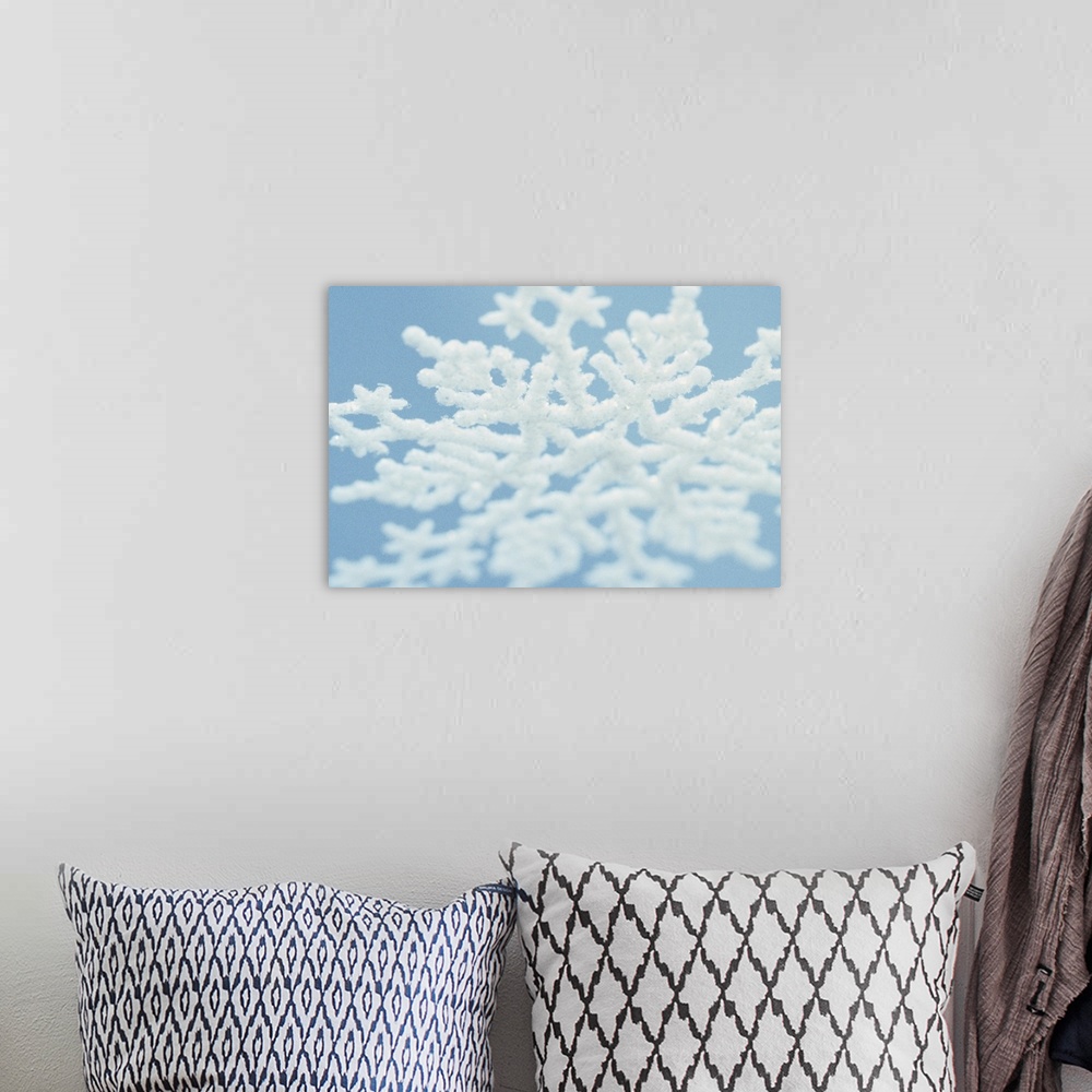 A bohemian room featuring Up-close photograph of ice crystal that developed when microscopic super cooled cloud droplets fr...
