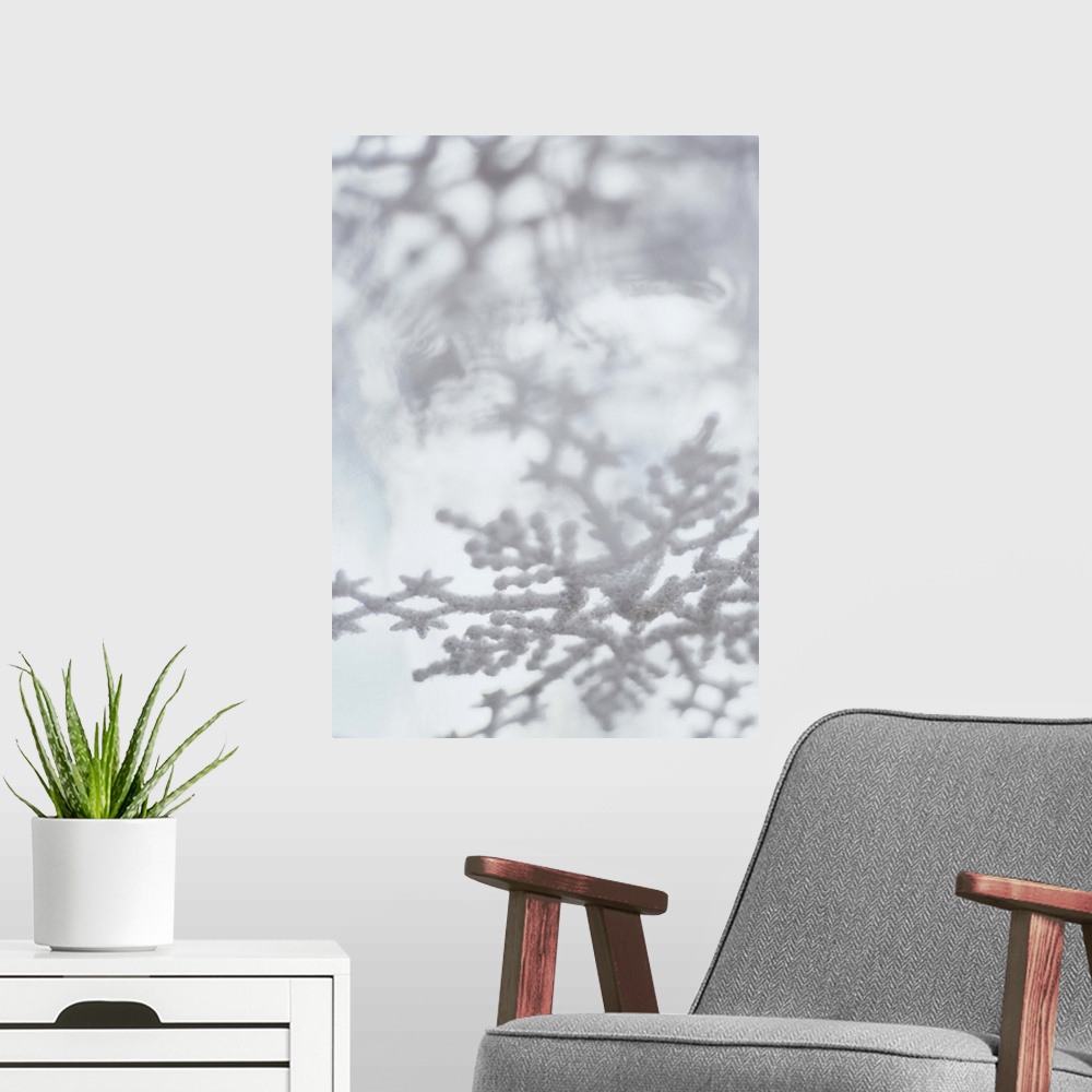 A modern room featuring Snowflake