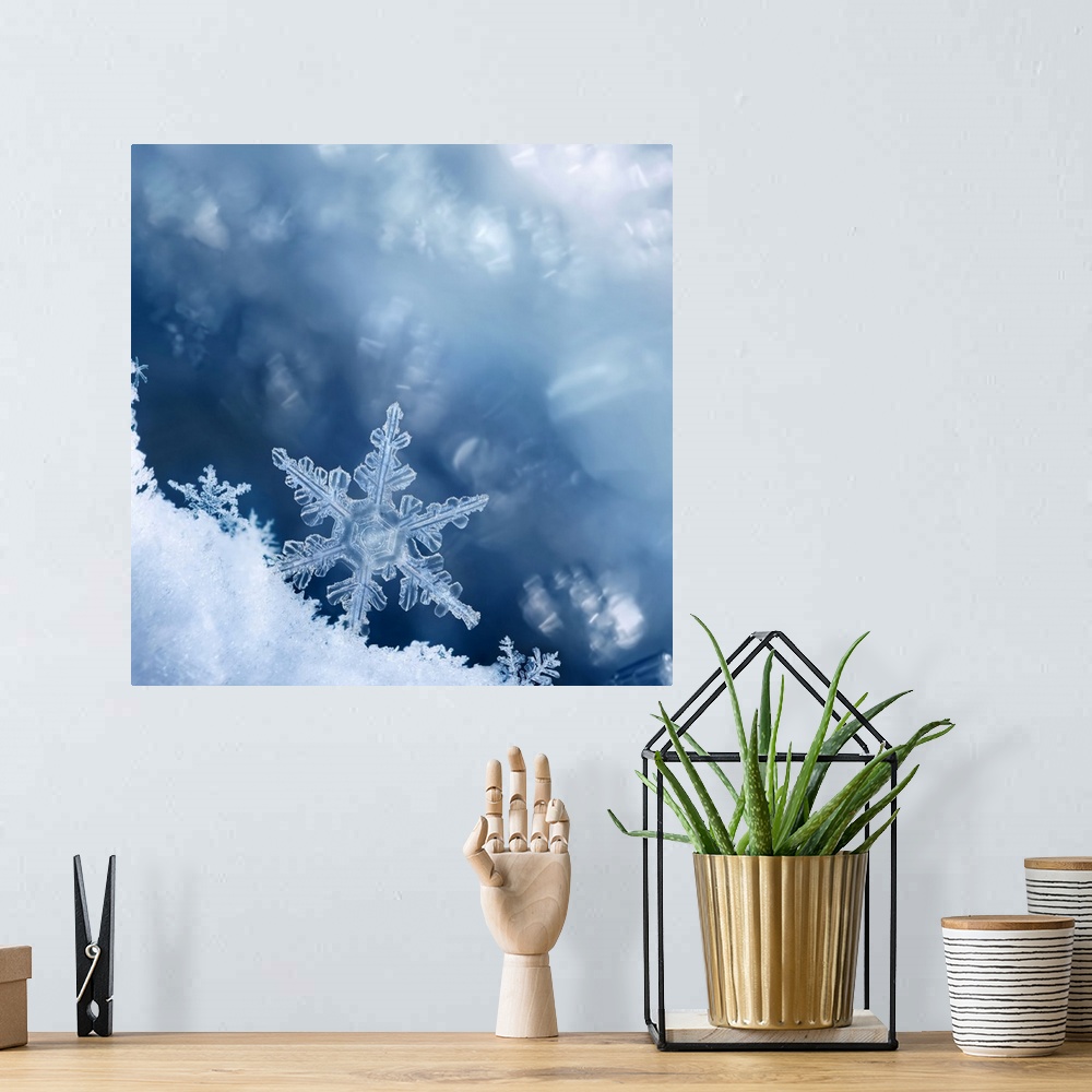 A bohemian room featuring Digital composite of snowflakes and frost.