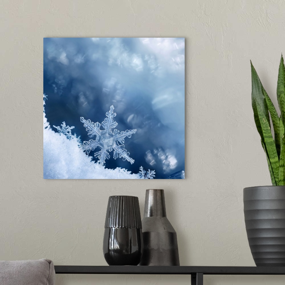 A modern room featuring Digital composite of snowflakes and frost.