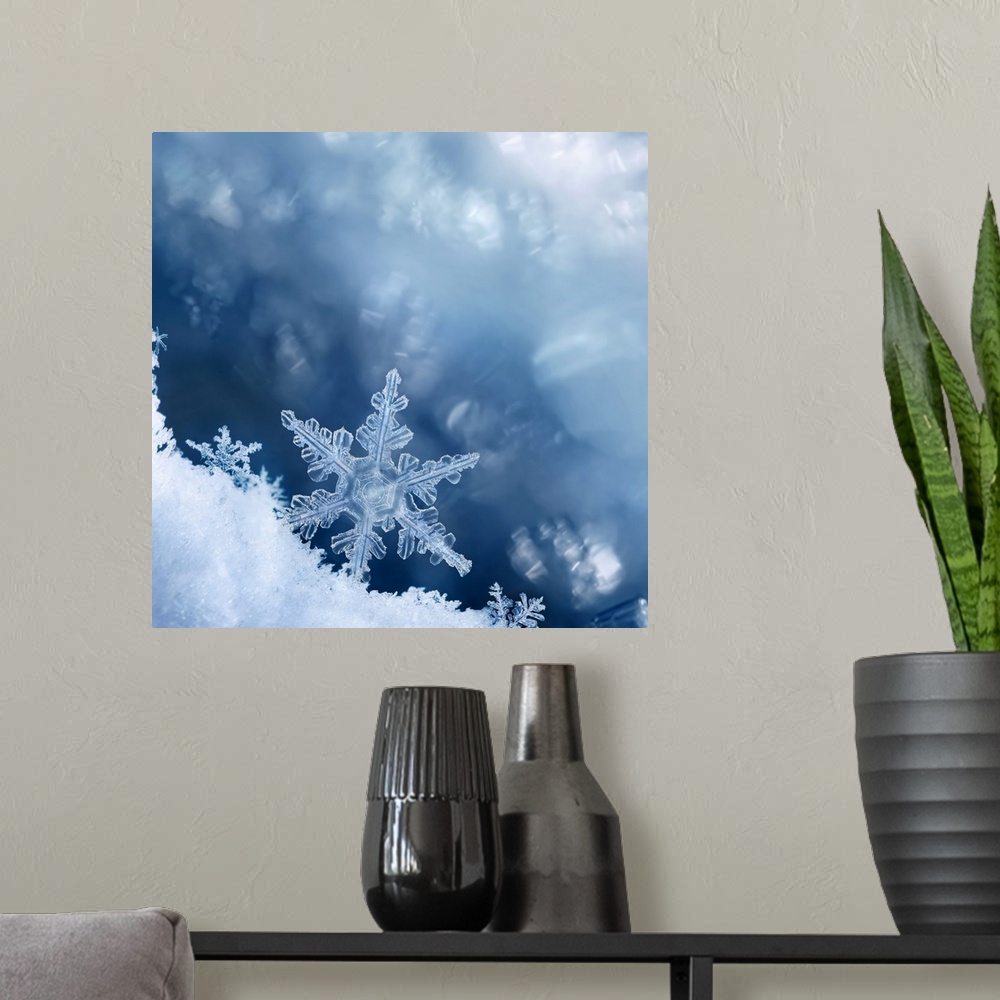A modern room featuring Digital composite of snowflakes and frost.