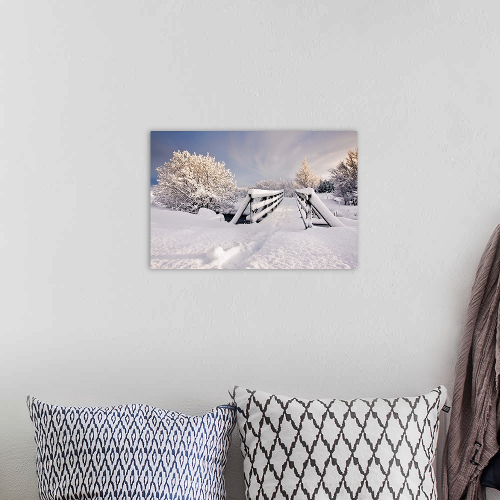 A bohemian room featuring Snowy bridge at winter with frozen trees in Iceland.
