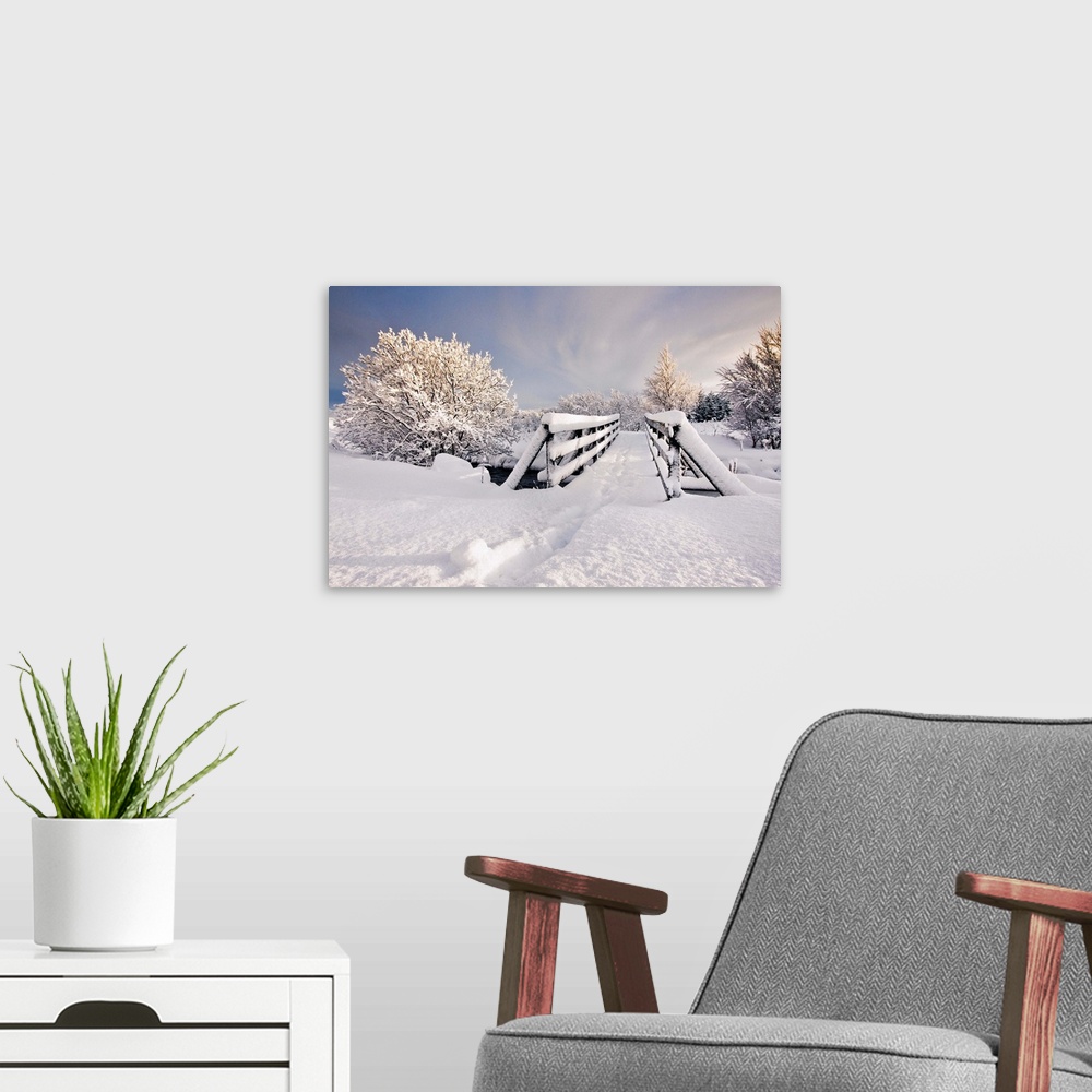 A modern room featuring Snowy bridge at winter with frozen trees in Iceland.