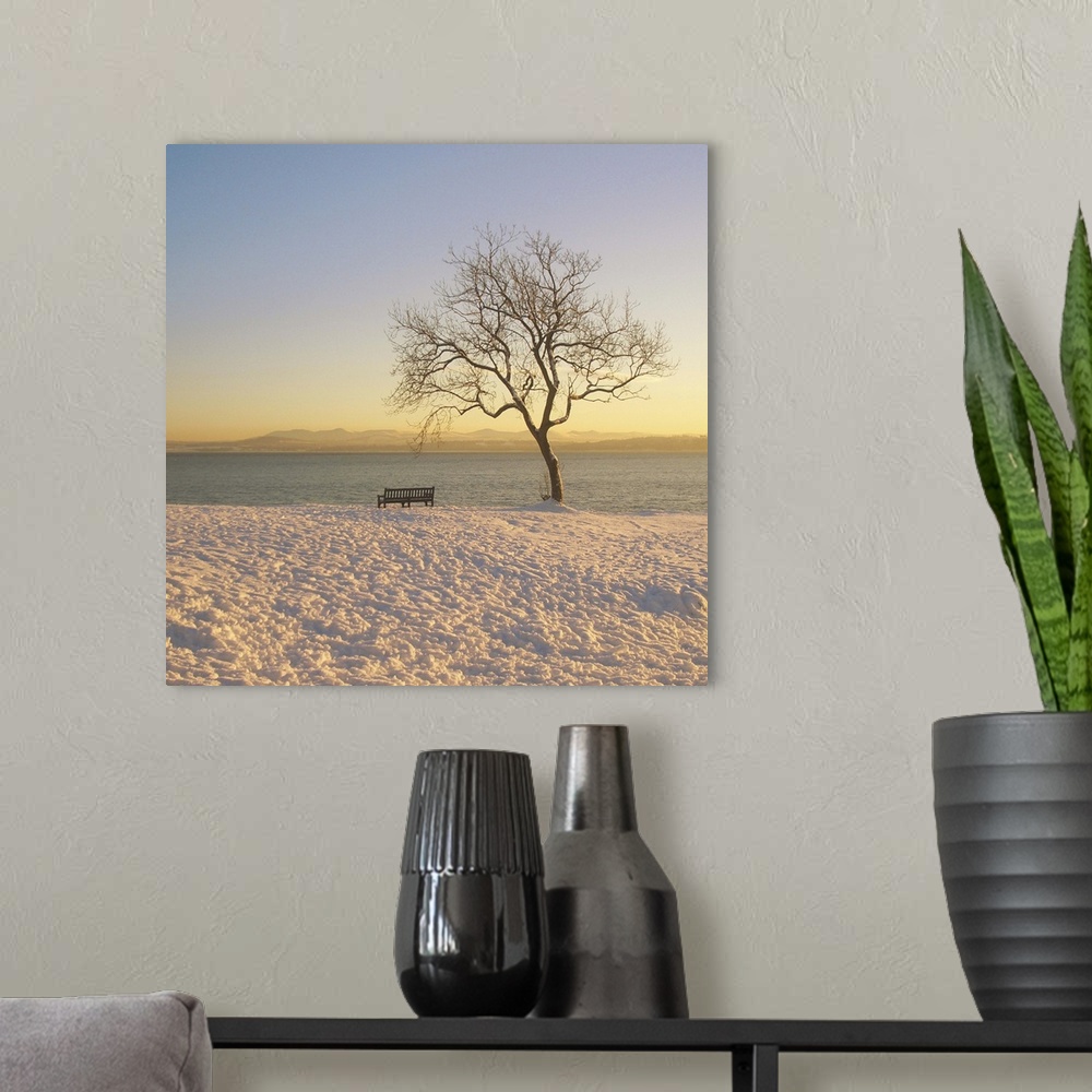 A modern room featuring Snowy winter sunset over the River Forth in Dalgety Bay.