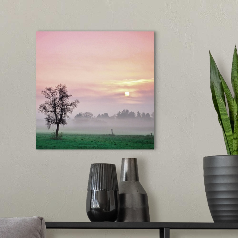A modern room featuring Soft light of landscape with tree during sunrise on foggy day.