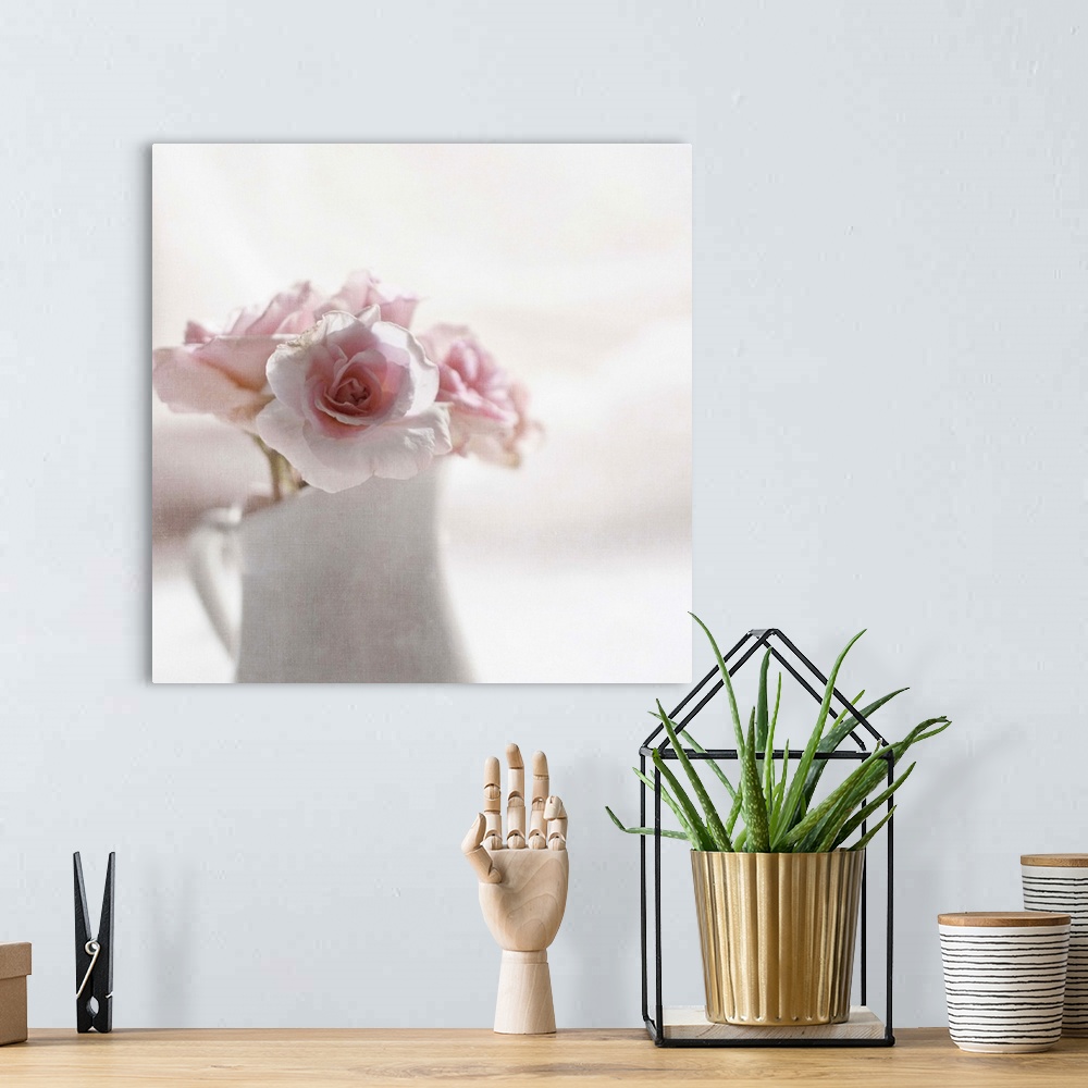 A bohemian room featuring Soft pink roses in white jug.Softly textured.
