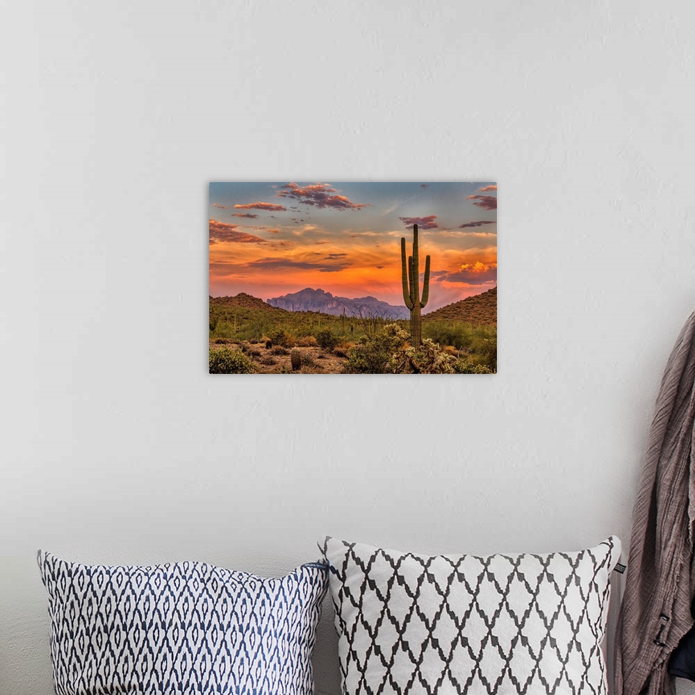 A bohemian room featuring Sunset in the Sonoran Desert near Phoenix, Arizona.