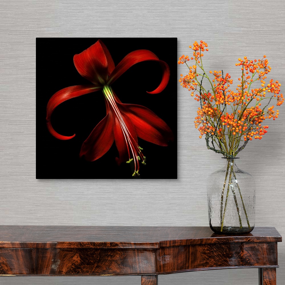A traditional room featuring Huge, floral wall hanging of a large red lily on a solid black background.