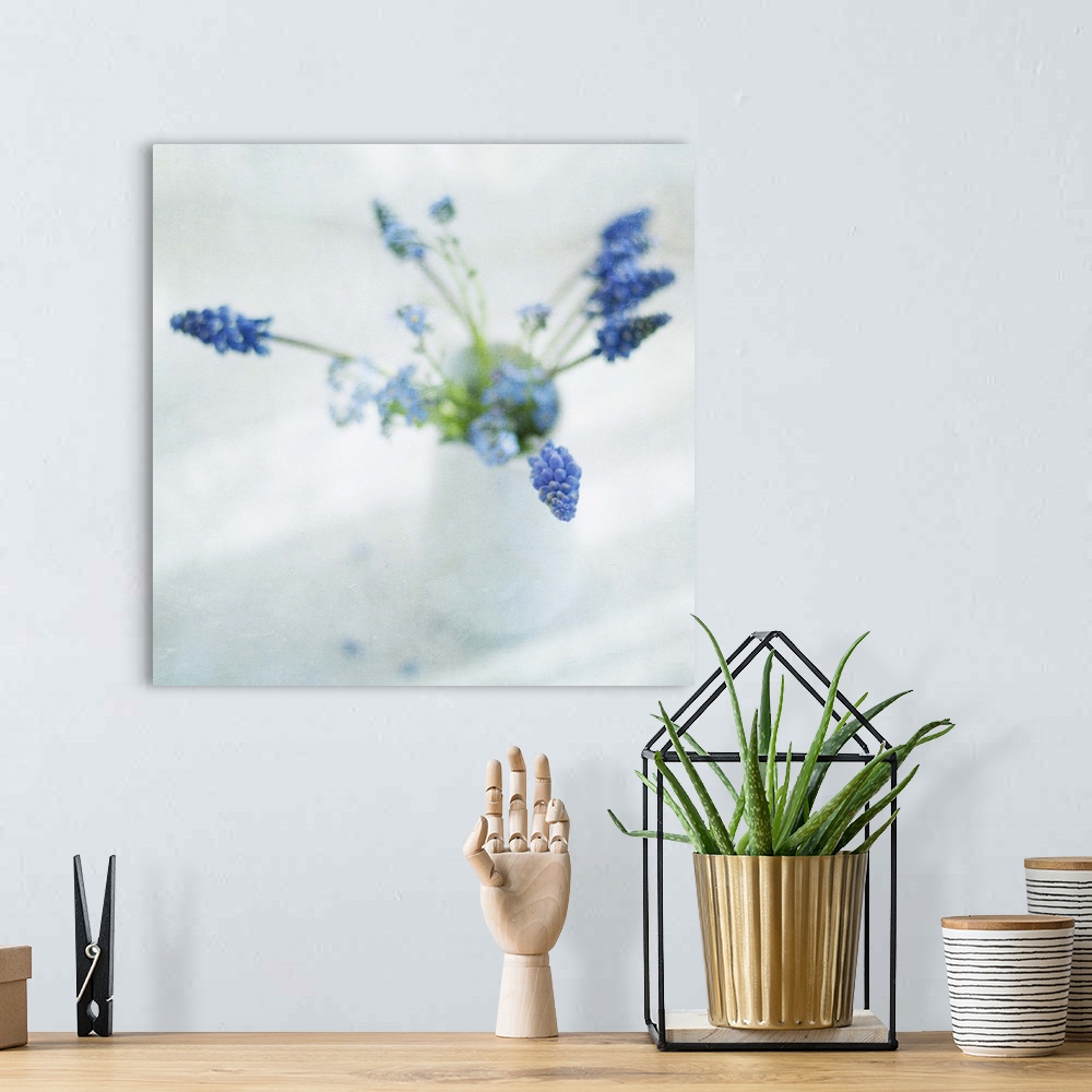 A bohemian room featuring Spring muscari and forget-me-not flowers in white jug.