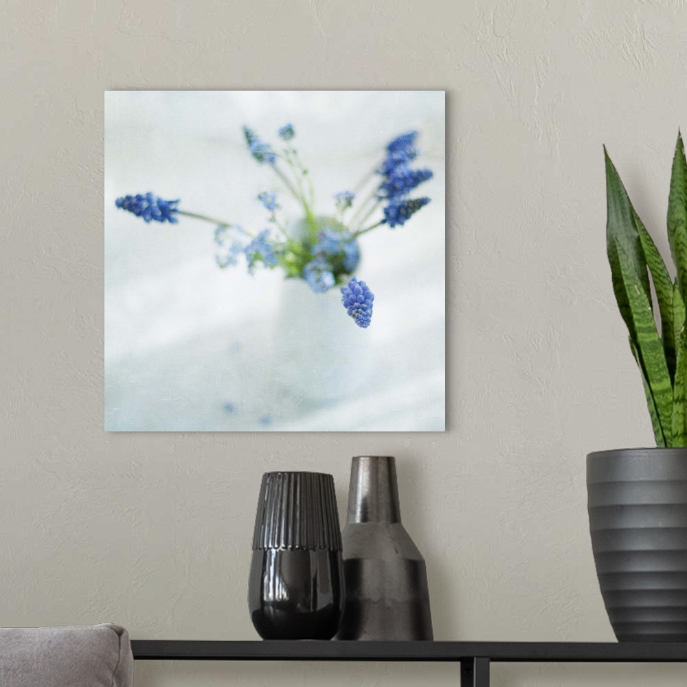A modern room featuring Spring muscari and forget-me-not flowers in white jug.