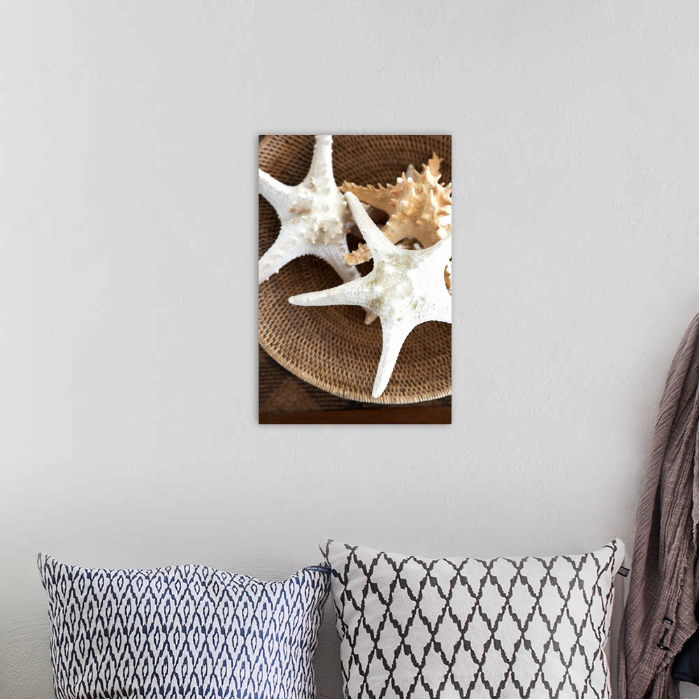 A bohemian room featuring Starfish In A Basket
