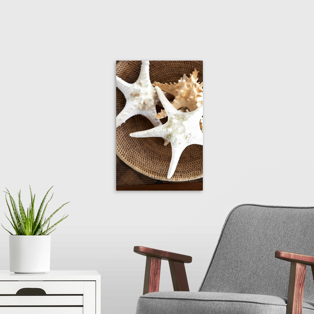 A modern room featuring Starfish In A Basket
