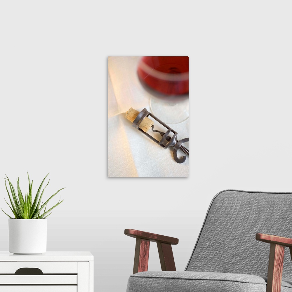 A modern room featuring Still life of corkscrew and wine
