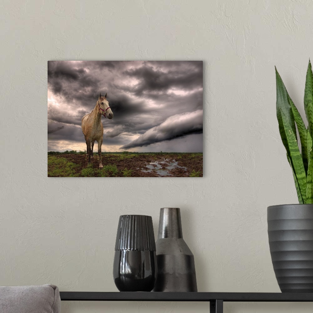 A modern room featuring Storm coming