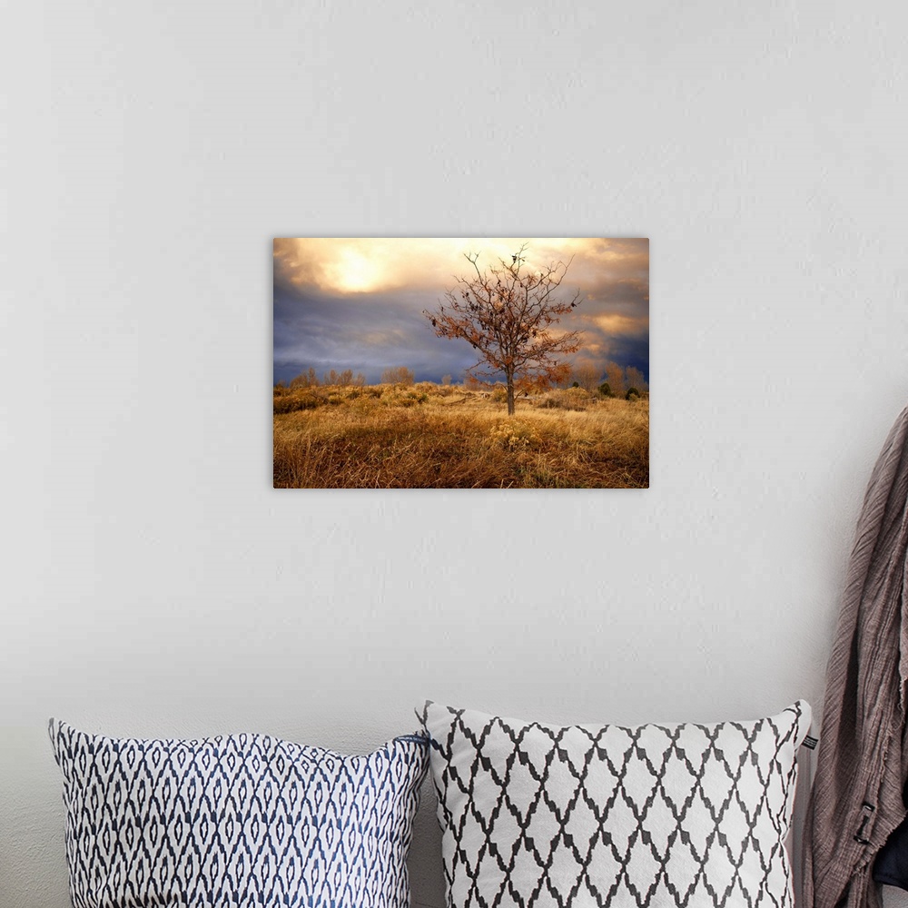 A bohemian room featuring November storm on prairie during late afternoon at sunset lighting give this capture heavenly aura.