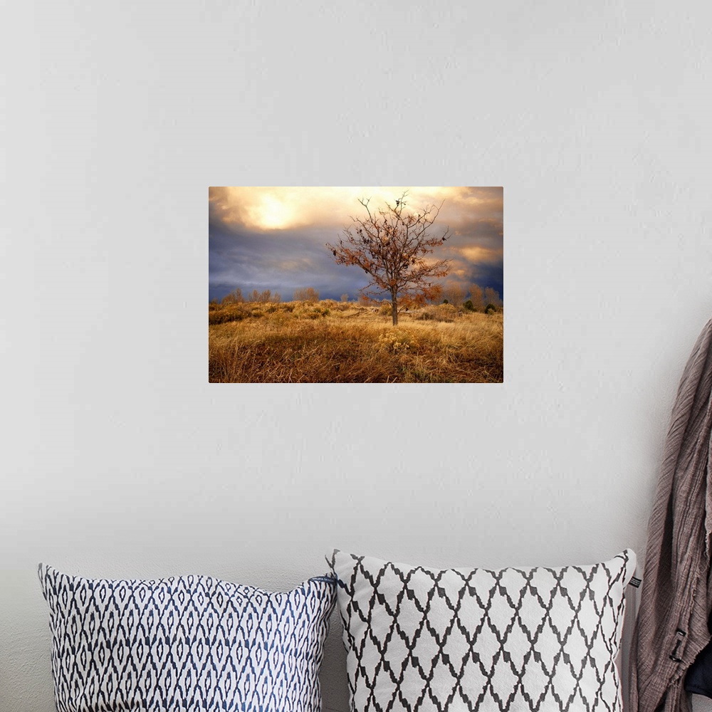 A bohemian room featuring November storm on prairie during late afternoon at sunset lighting give this capture heavenly aura.