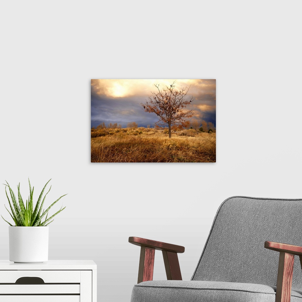 A modern room featuring November storm on prairie during late afternoon at sunset lighting give this capture heavenly aura.