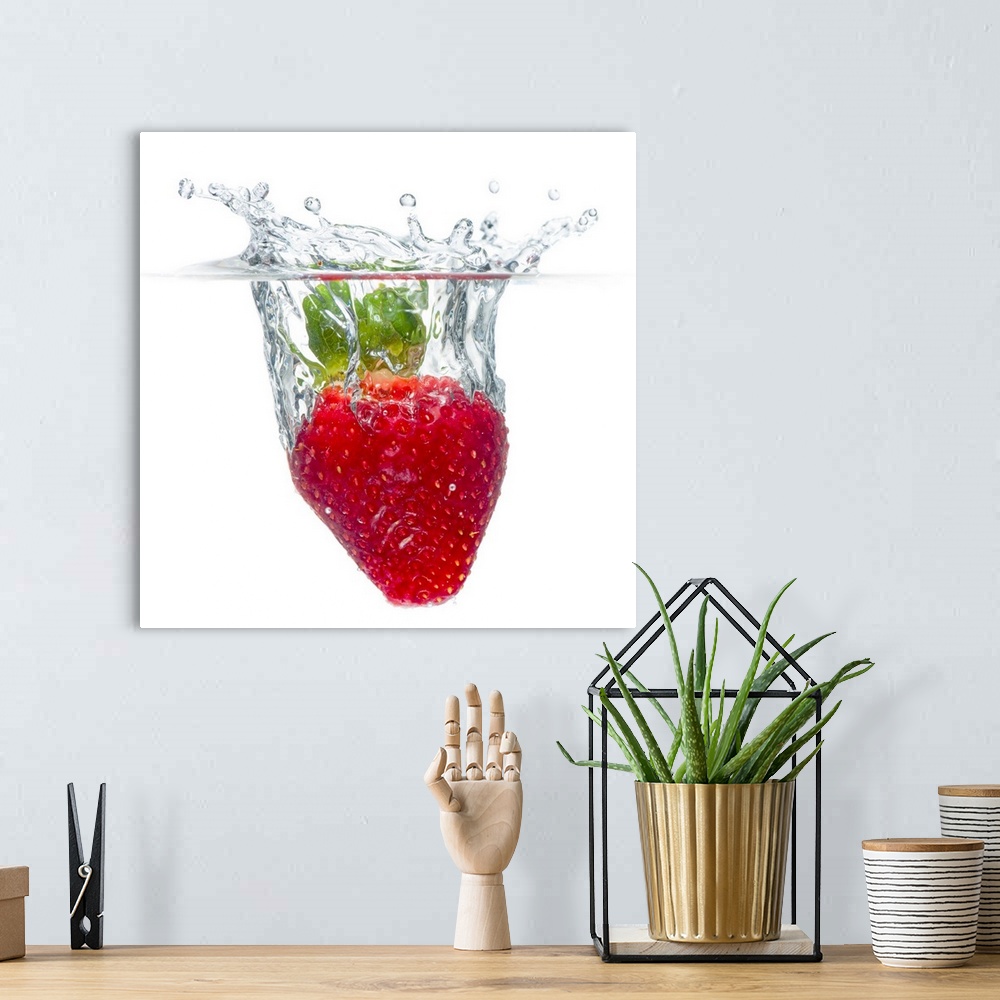A bohemian room featuring Square, large photograph of a juicy, ripe, organic strawberry splashing as it becomes submerged i...