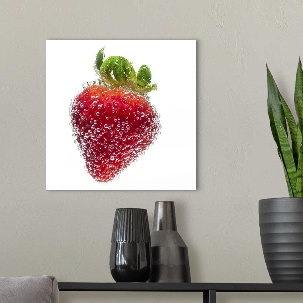 A modern room featuring A juicy ripe organic Strawberry fruit submerged in clean clear refreshing water and covered in bu...