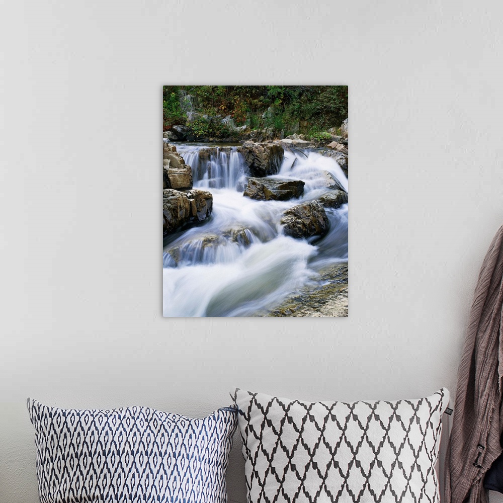 A bohemian room featuring Stream Cascading Over Boulders