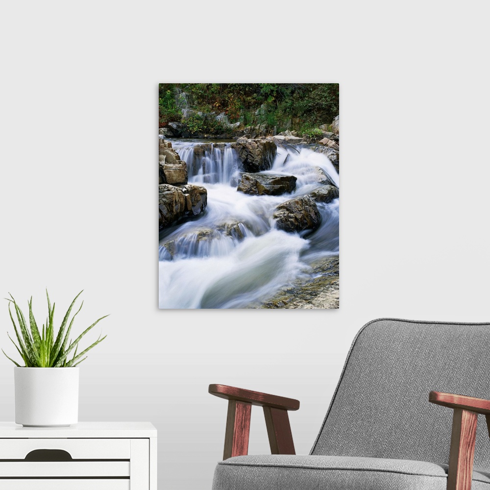 A modern room featuring Stream Cascading Over Boulders