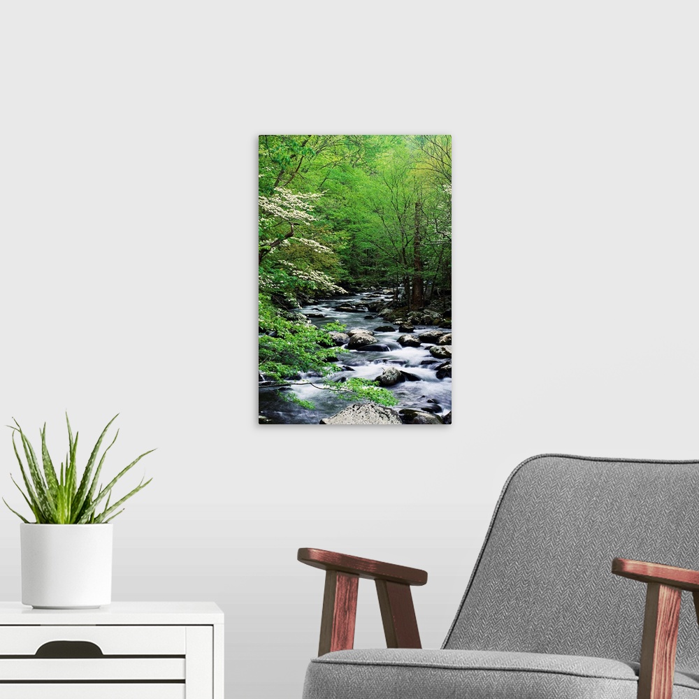 A modern room featuring Stream In Lush Forest