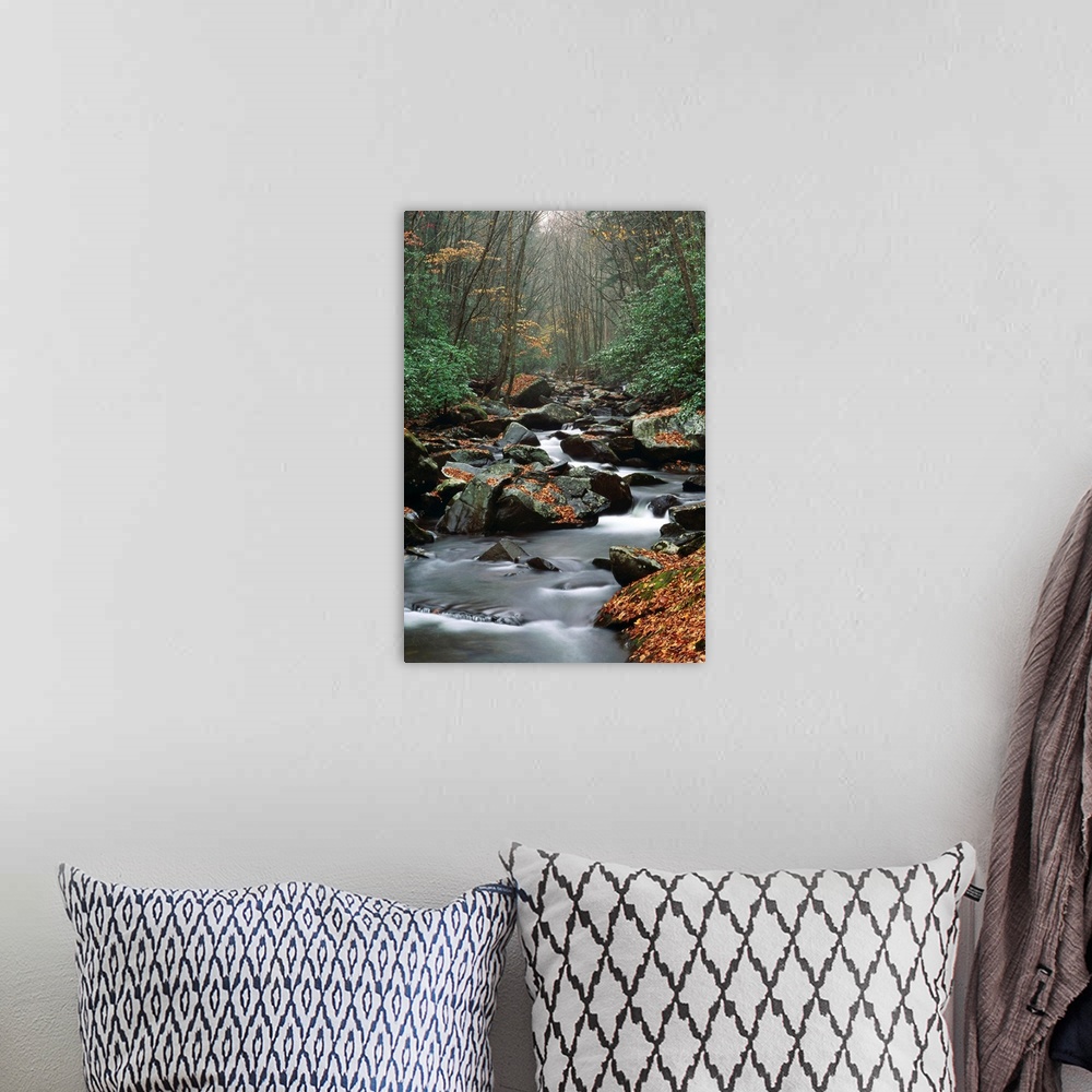 A bohemian room featuring Stream Running Through Forest