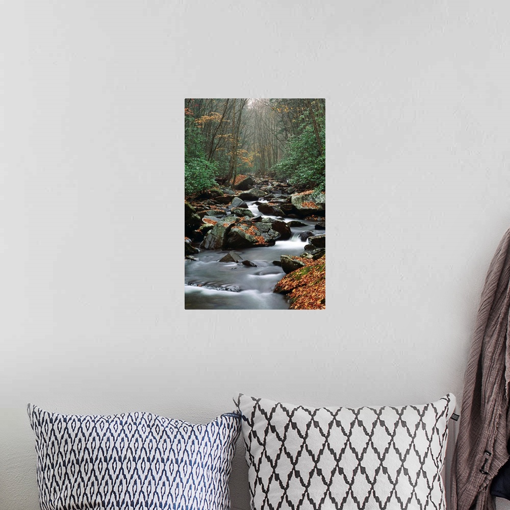 A bohemian room featuring Stream Running Through Forest