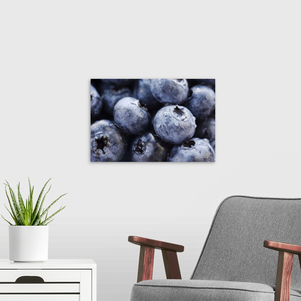 A modern room featuring Studio shot of blueberries