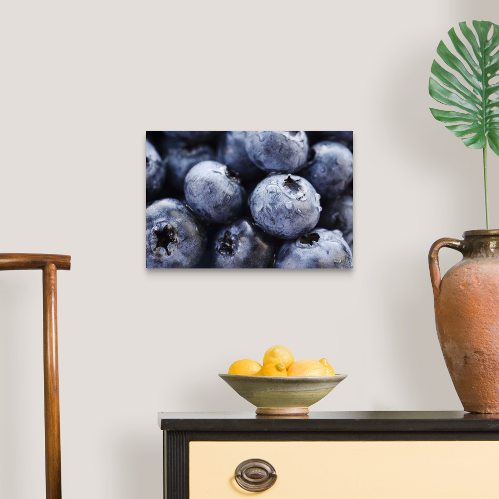 A traditional room featuring Studio shot of blueberries