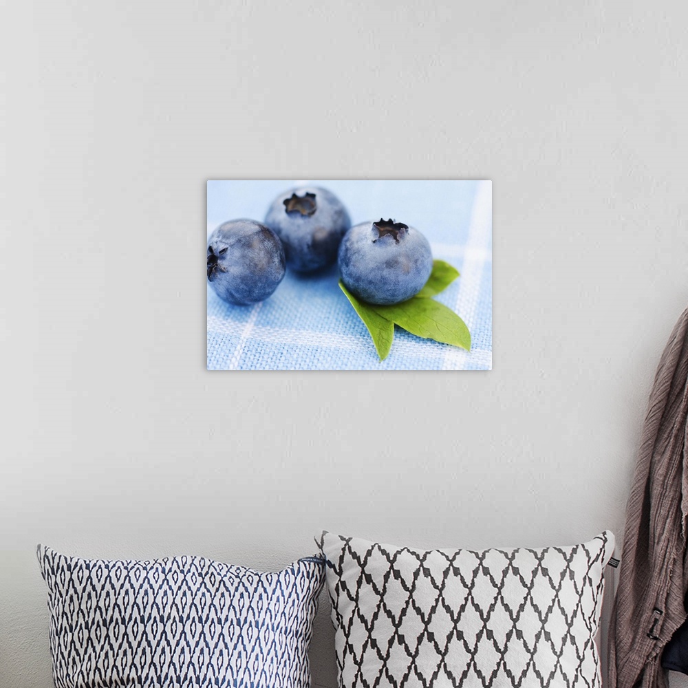 A bohemian room featuring Studio shot of blueberries