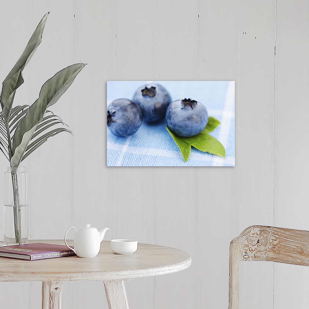 A farmhouse room featuring Studio shot of blueberries