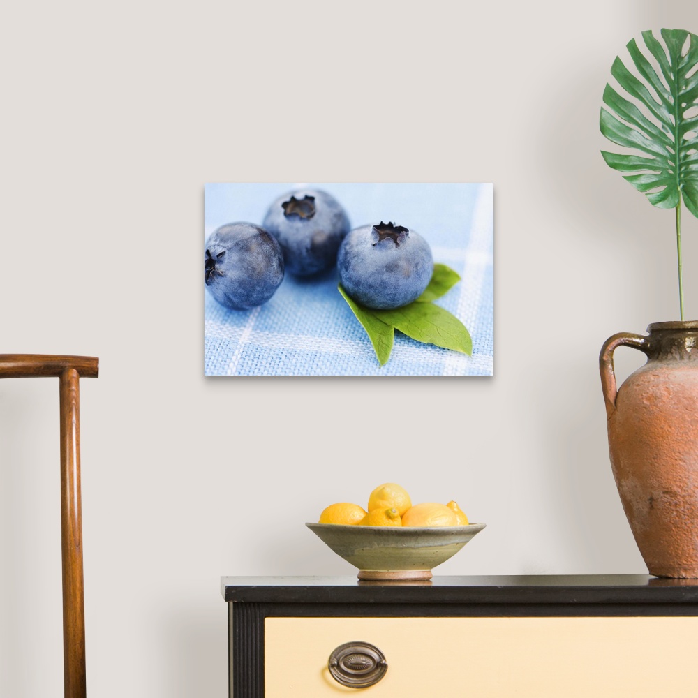 A traditional room featuring Studio shot of blueberries