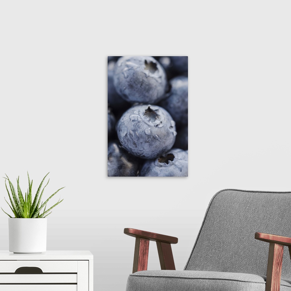 A modern room featuring Studio shot of blueberries