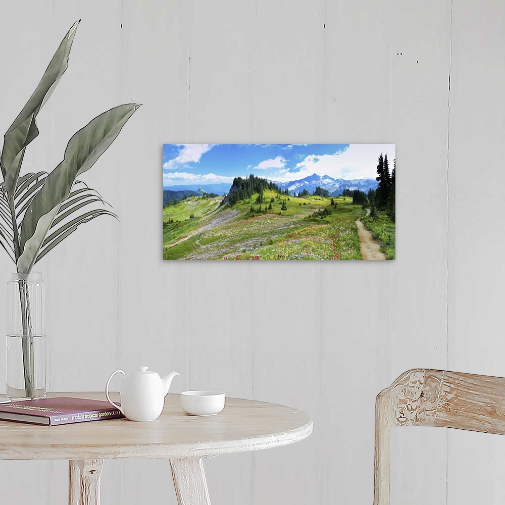 A farmhouse room featuring Summer flowers blooming alongside Skyline trail on Mount Rainier.