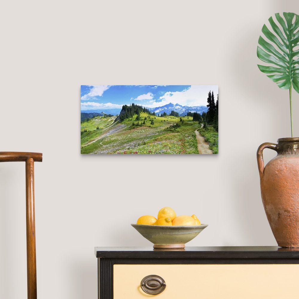 A traditional room featuring Summer flowers blooming alongside Skyline trail on Mount Rainier.