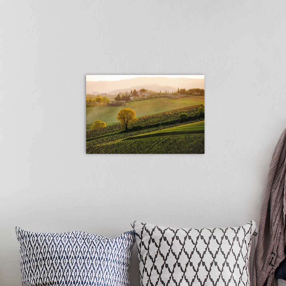 A bohemian room featuring Landscape, oversized aerial photograph of a vineyard under a light mist, as the sun sets in Tuscany.