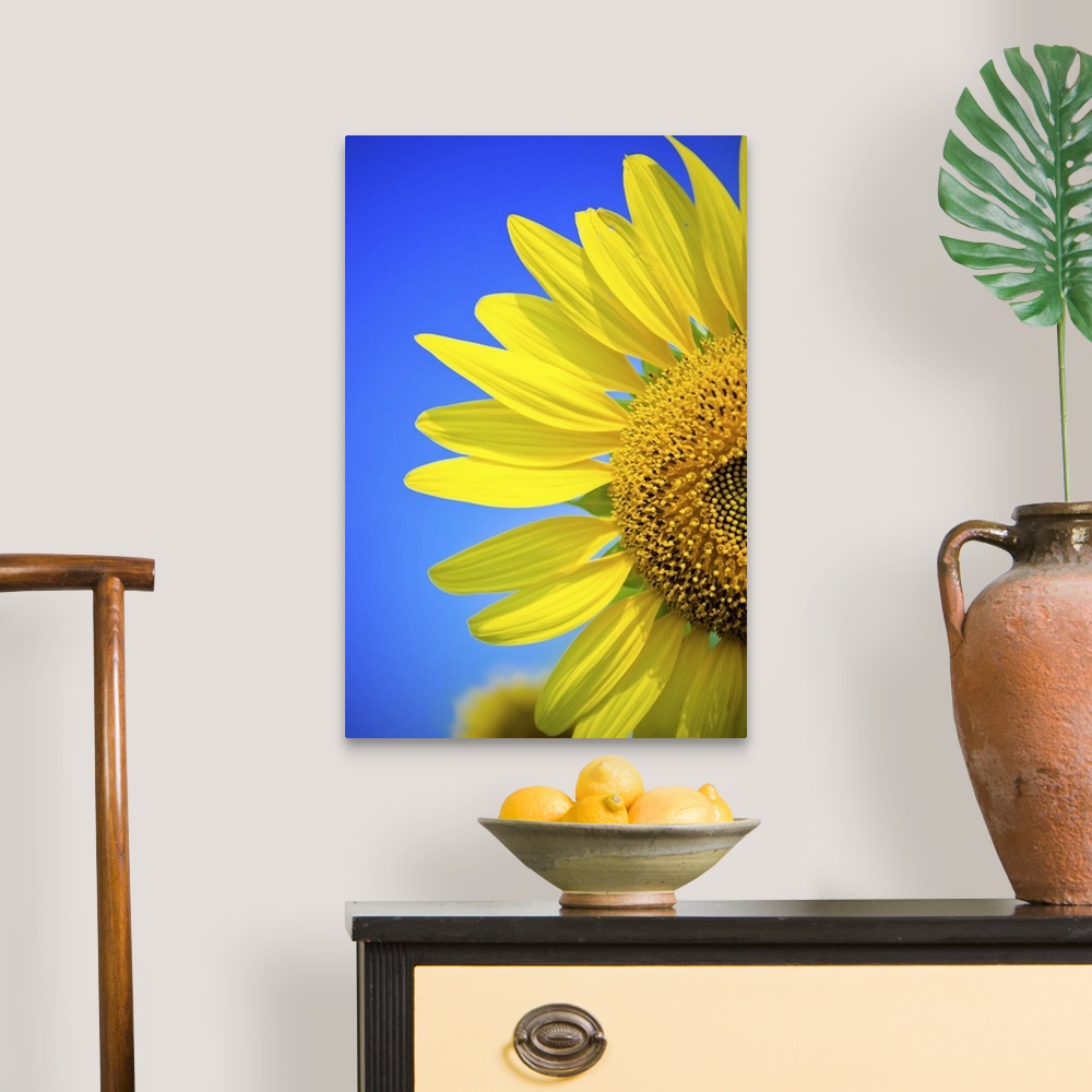 A traditional room featuring Sunflower against blue sky.