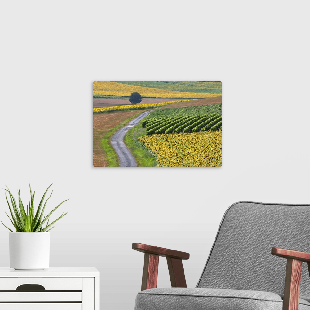 A modern room featuring Sunflower field and road near Pons, France.
